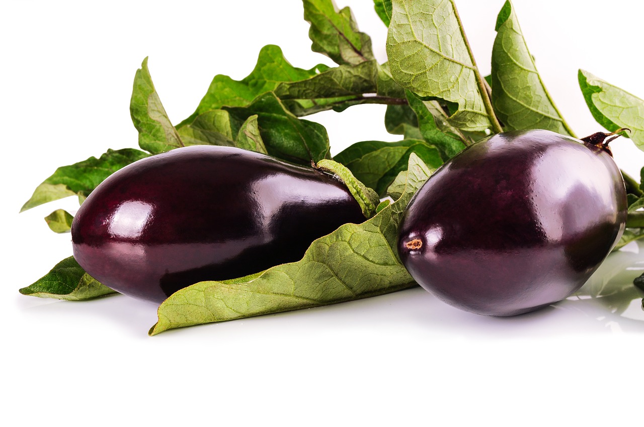 栄養素 なす の 茄子（ナス）の6つの効果効能と含有する栄養素・栄養成分